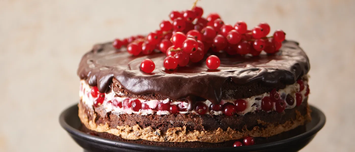 Recipes