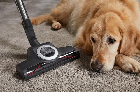  Complete C3 Cat&Dog PowerLine Bordo - Toz Torbalı Süpürge