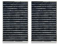 DKF 31-P Aktif AirClean Filtre 2 li Set