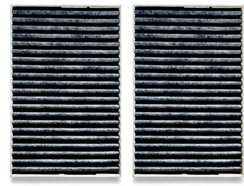  DKF 31-P Aktif AirClean Filtre 2 li Set