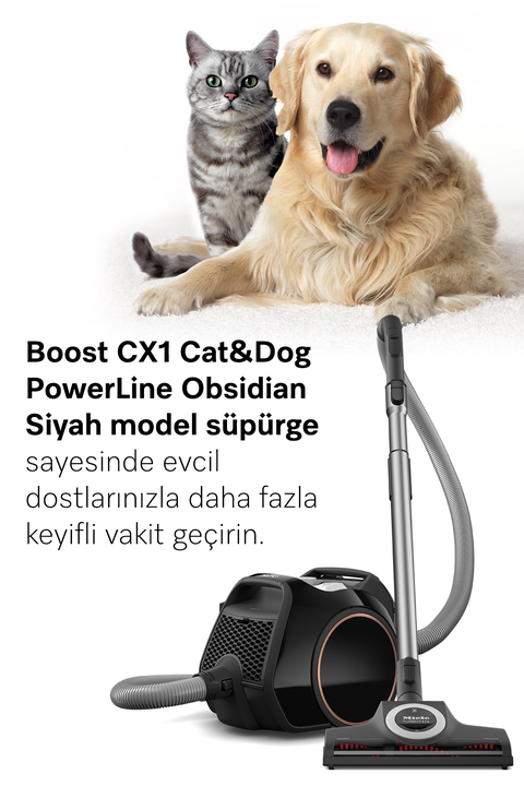  Boost CX1 Cat&Dog PowerLine Obsidian Siyah - Toz Torbasız Süpürge